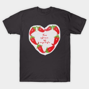 You spice up my life T-Shirt